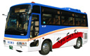 Aso Regular Tourist Bus