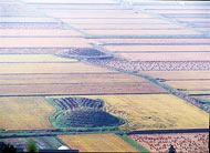 Nakadori Burial Mounds