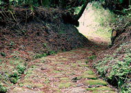 Sankin-kotai Road