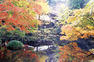 Matoishi Ochaya Remains and Garden Pond