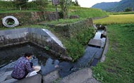 吉田城御献上汲水池