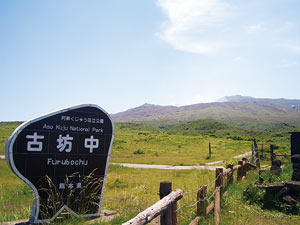 Furubochu Geosite