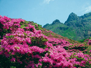 仙醉峡地质景点