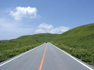 酪奶道路草原地理景点