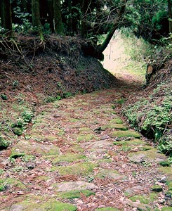 Sankin-kotai Road Geosite