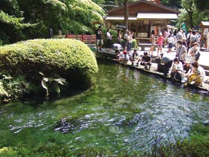 Cluster of Springs in Minami-Aso District Geosite