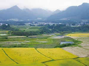 南乡谷地质景点