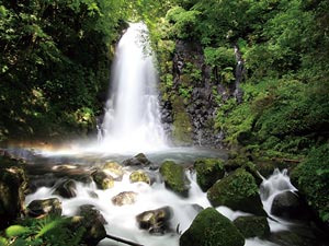 Shiraitonotaki Falls Geosite