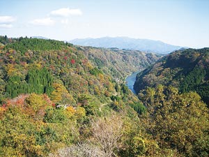 苏阳峡地质景点